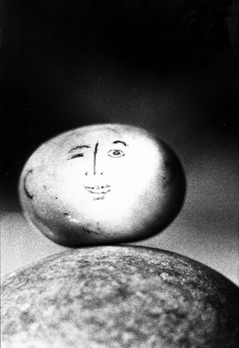 74_vogelman.jpg