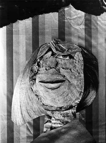 75_vogelman_ei.jpg